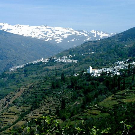 Casa Rural Cortijo El Potro 奥尔希瓦 外观 照片