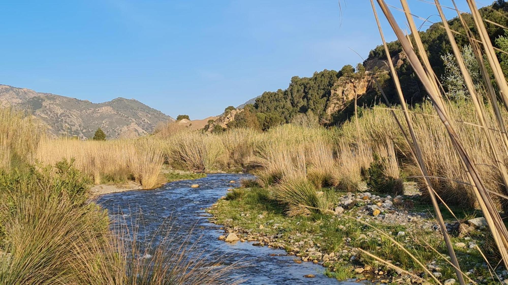 Casa Rural Cortijo El Potro 奥尔希瓦 外观 照片