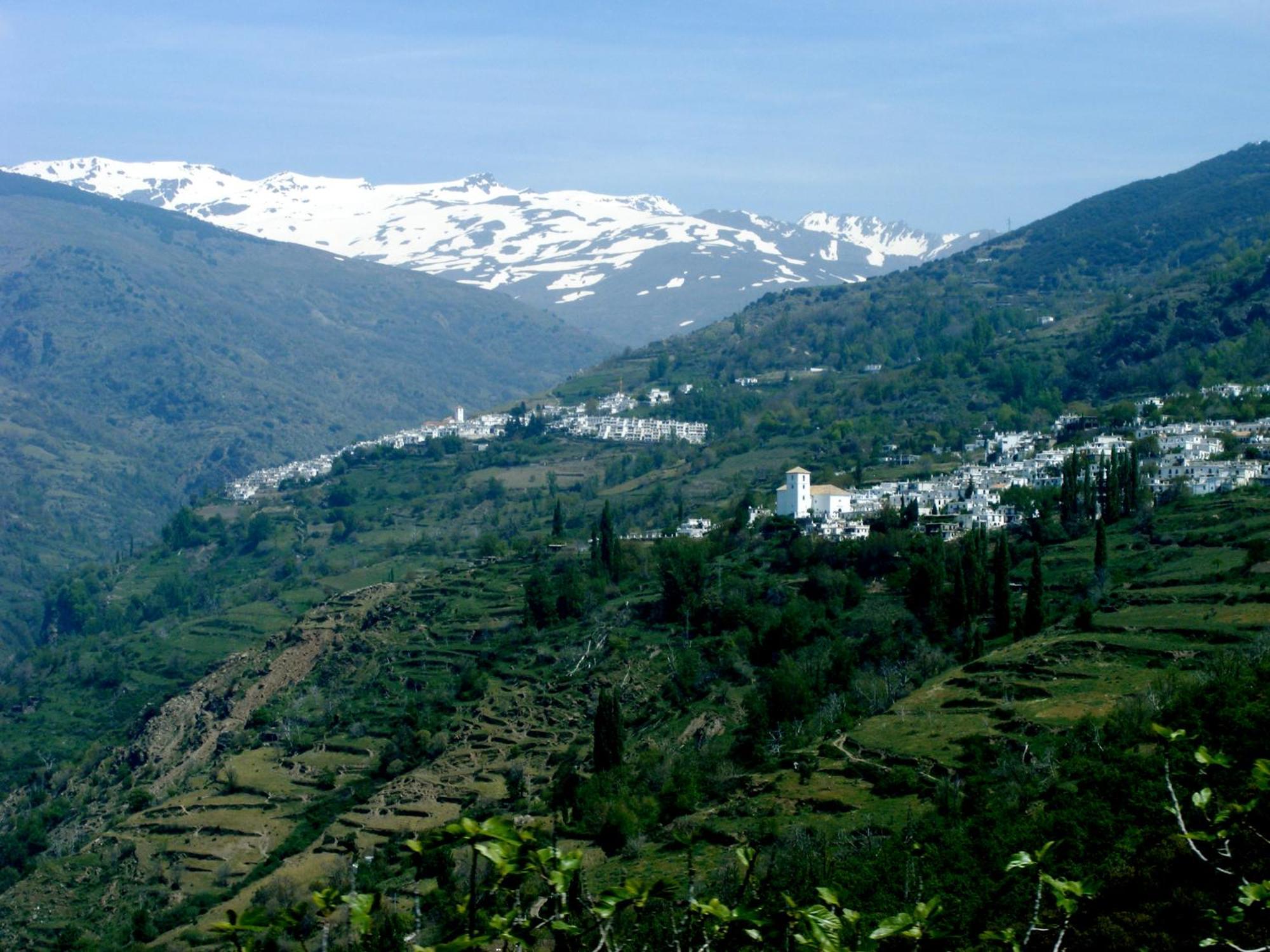 Casa Rural Cortijo El Potro 奥尔希瓦 外观 照片